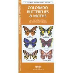 Colorado Butterflies amp; Moths Book  ™ Shopping   Great