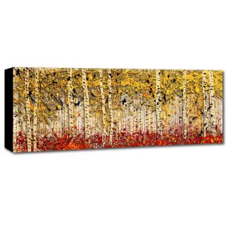 Trademark Art Fall PanorAspens by Roderick Stevens Painting Print on