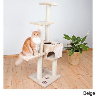 Cat Play Stairs with Cat  IQ Busy Box
