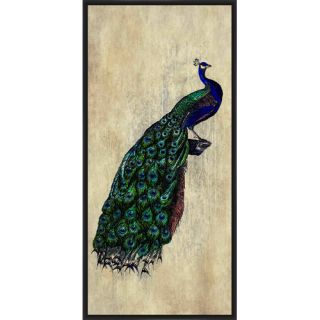 Proud Peacock Framed Graphic Art