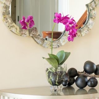 Phalaenopsis Elegance Flowers by Nearly Natural