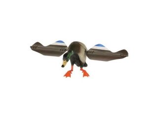 Expedite QUIVER DUCK DRAKE