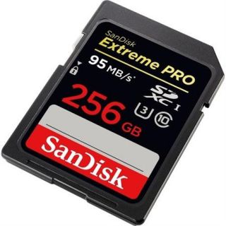 SANDISK SDSDXP 256G A46 Secure Digital Card