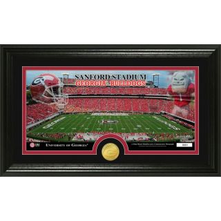 The Highland Mint 20 in W x 12 in H University Of Georgia Stadium Bronze Coin Panoramic Photo Mint Limited Editions