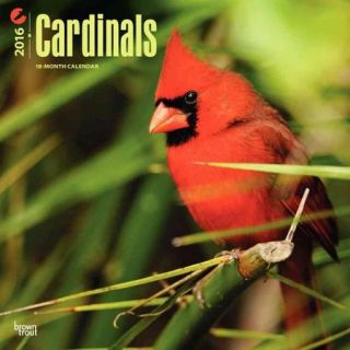 Cardinals 2016 Calendar