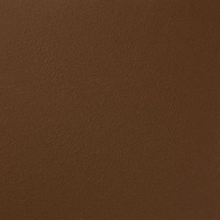 Ralph Lauren 13 in. x 19 in. #RR106 Rare Fossil River Rock Specialty Paint Chip Sample RR106C