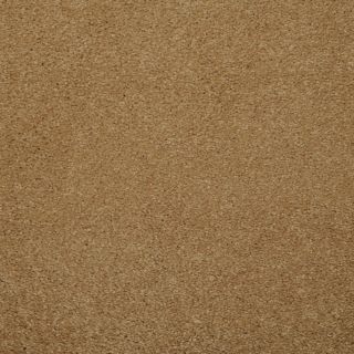 Dixie Group TruSoft Levity  Feature Buy Brown/Tan Textured Indoor Carpet