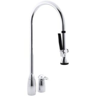 KOHLER ProMaster Single Handle Pull Down Sprayer Kitchen Faucet in Polished Chrome K 6330 CP