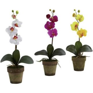 Nearly Natural Potted Phalaenopsis, 3pk