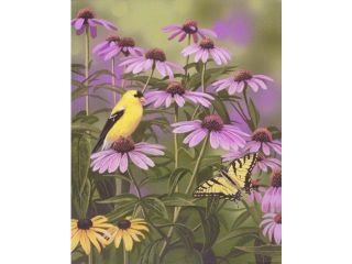 Butterfly & Finch Amongst Flowers Poster Print by William Vanderdasson (16 x 20)