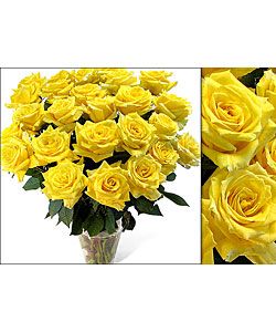 125 Yellow Wedding Roses  ™ Shopping Rose