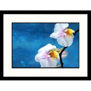 Great American Picture White Orchids on Blue Framed Photograph