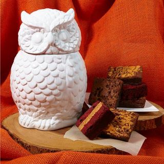 David's Cookies White Owl Jar with Assorted Brownies   7830954