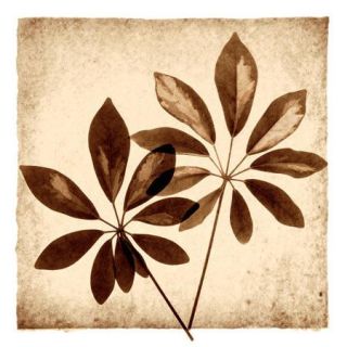 Evive Designs Cassava Leaves by Michael Mandolfo Painting Print