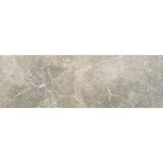 FLOORS 2000 Alor Taupe Porcelain Bullnose Tile (Common: 3 in x 18 in; Actual: 3 in x 17.71 in)