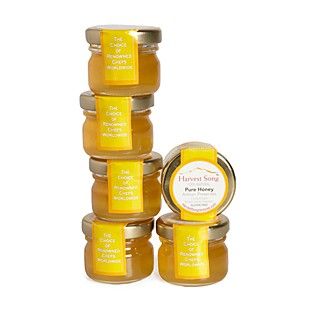 Harvest Song Pure Honey, Set of 6