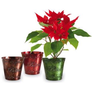 Set of 3 Believe in the Spirit Christmas Holiday Garden Planters