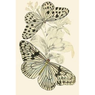 Buyenlarge European Butterflies and Moths by James Duncan Painting