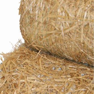 Hanes Geo Components 112.5 ft x 96 in Straw Biodegradable Double Net Blanket