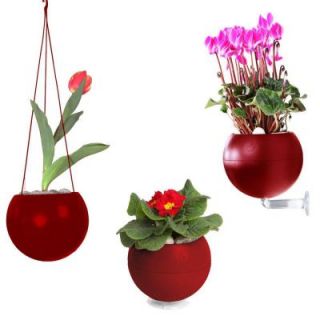 Greenbo 7 in. x 6 in. x 7 in. Bordeaux Plastic, Table, Wall and Ceiling Planter (3 Pack) GMPK03 2