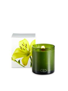 Viva Candle (6 OZ) by DayNa Decker