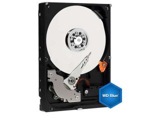WD Blue 320 GB Desktop Hard Drive: 3.5 Inch, 7200 RPM, PATA, 8 MB Cache   WD3200AAJB