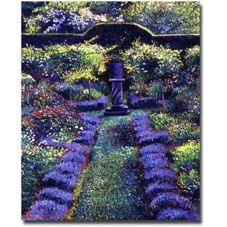 Trademark Art "Blue Garden Sunset" Canvas Wall Art by David Lloyd Glover