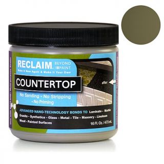 RECLAIM Beyond Paint Countertop Finisher   7300889