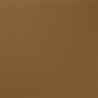 Ralph Lauren 13 in. x 19 in. #RR102 Sandstone Cliff River Rock Specialty Paint Chip Sample RR102C