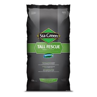 Sta Green 40 lb Tall Fescue Grass Seed