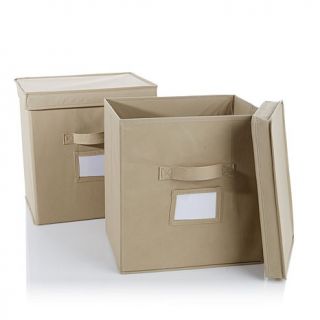 Origami Labeled Storage Bin 2 pack for Small Rack   7332185