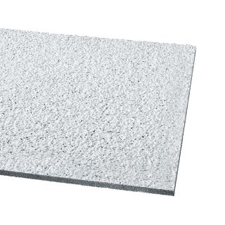 Armstrong 10 Pack Ceiling Tiles (Actual: 47.719 in x 23.719 in)