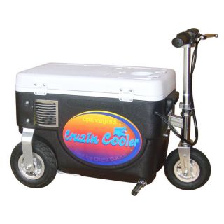 Ride On 1000 watt Cruzin Cooler Scooter   16831964  