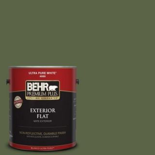 BEHR Premium Plus 1 gal. #ECC 38 3 Sea Fern Flat Exterior Paint 430001