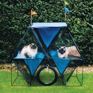 Kittywalk Ferris Wheel for Cats