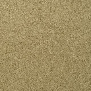 STAINMASTER TruSoft Best of Class Sand Dollar Plush Indoor Carpet