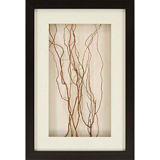 Paragon Curly Willow Painting Print Shadow Box