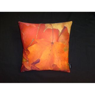 Décor Pillows & Throws Decorative Pillows WD 40 SKU: ORH1194