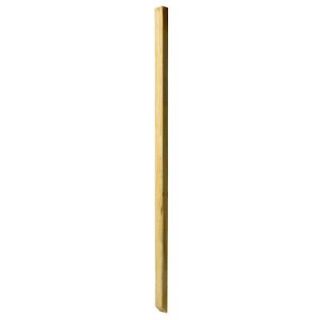 WeatherShield Pressure Treated 42 in. x 2 in. x 2 in. Beveled 1 End Baluster 430400