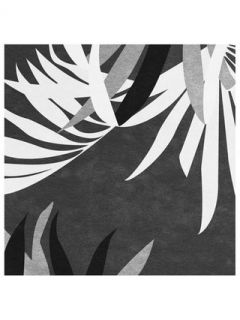 Black & White Graphic Palms II by Art Addiction